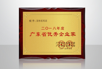喜讯│333体育官方网站/app/ios/安卓/在线/注册,集团总裁王妙玉再获年度广东省优秀企业家荣誉